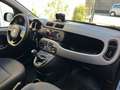 Fiat Panda 1.0 hybrid Cross *UNIPROPRIETARIO-PRONTA CONSEGNA* Gris - thumbnail 9