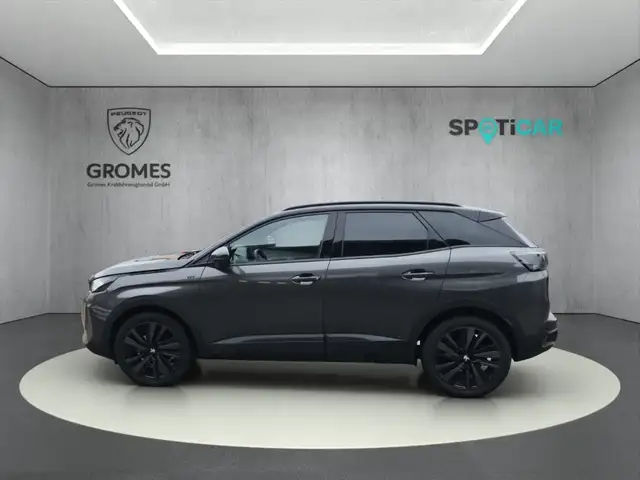 Peugeot 3008 view 6