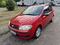 Fiat Punto 1.2 8V Rojo - thumbnail 1