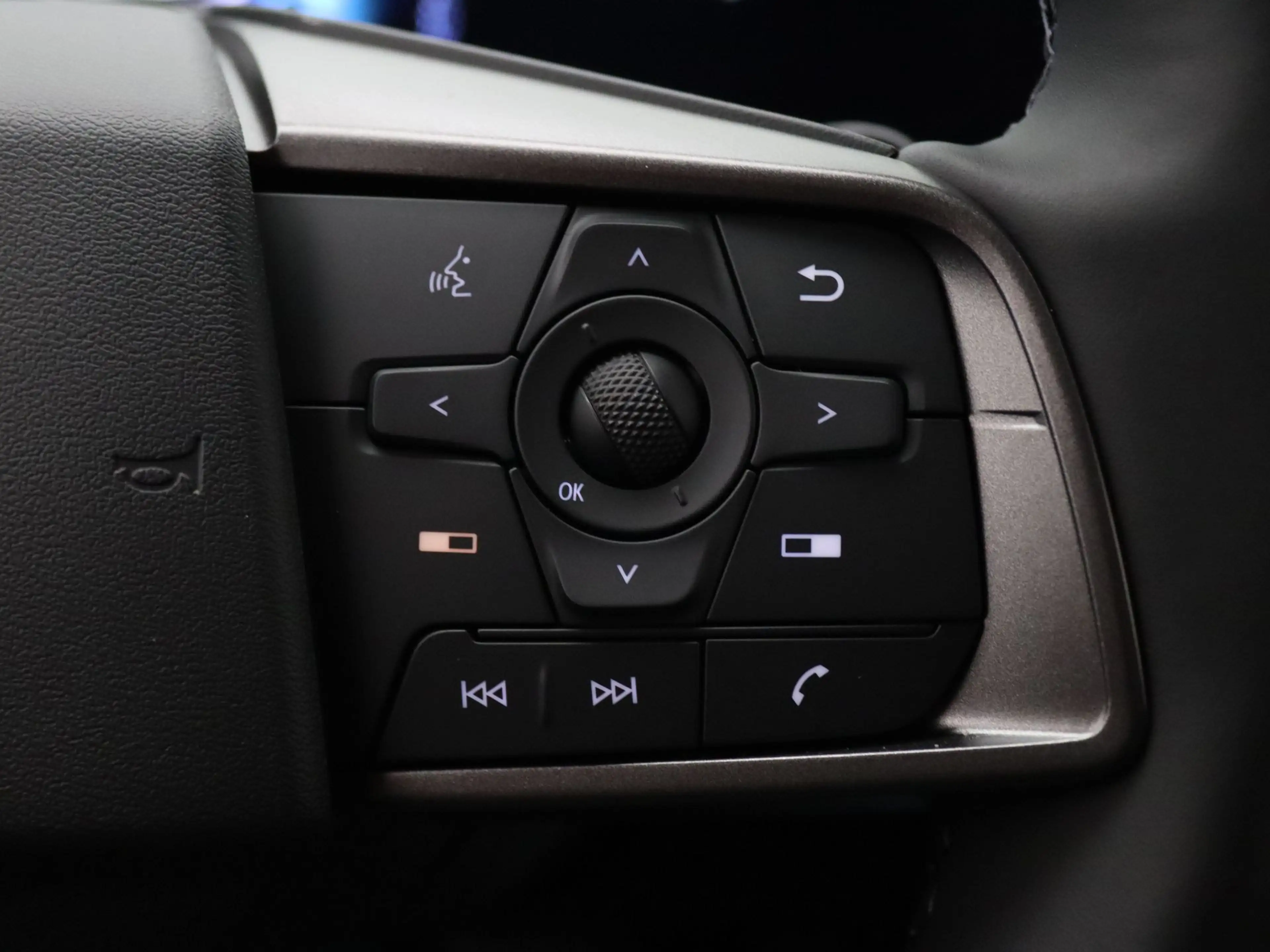 Nissan Leaf Business Edition 75 kWh Apple Carplay/Android Auto — photo 14