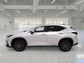 Lexus NX 300 Hybrid Premium 4WD MY22 - thumbnail 5