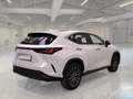 Lexus NX 300 Hybrid Premium 4WD MY22 - thumbnail 4