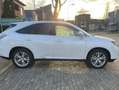 Lexus RX 450h 4WD President Beyaz - thumbnail 3