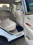 Lexus RX 450h 4WD President Білий - thumbnail 12
