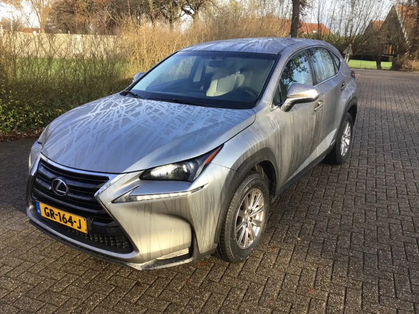 Lexus 300H Gris - 1
