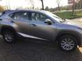 Lexus 300H Gris - thumbnail 6