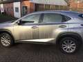 Lexus 300H Gris - thumbnail 10