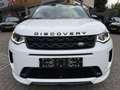 Land Rover Discovery Sport P300e 1.5 R-Dynamic SE Aut., Navi & CarPlay | Came Wit - thumbnail 20