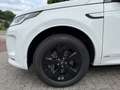 Land Rover Discovery Sport P300e 1.5 R-Dynamic SE Aut., Navi & CarPlay | Came Wit - thumbnail 14