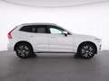Volvo XC60 B4 Momentum Pro+WINTERPAK+360°+PANO+LM18+ Blanc - thumbnail 11