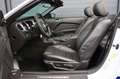 Ford Mustang V6 3.7 Shelby/LED/Ambient/BTH/KAMERA/R19 White - thumbnail 15