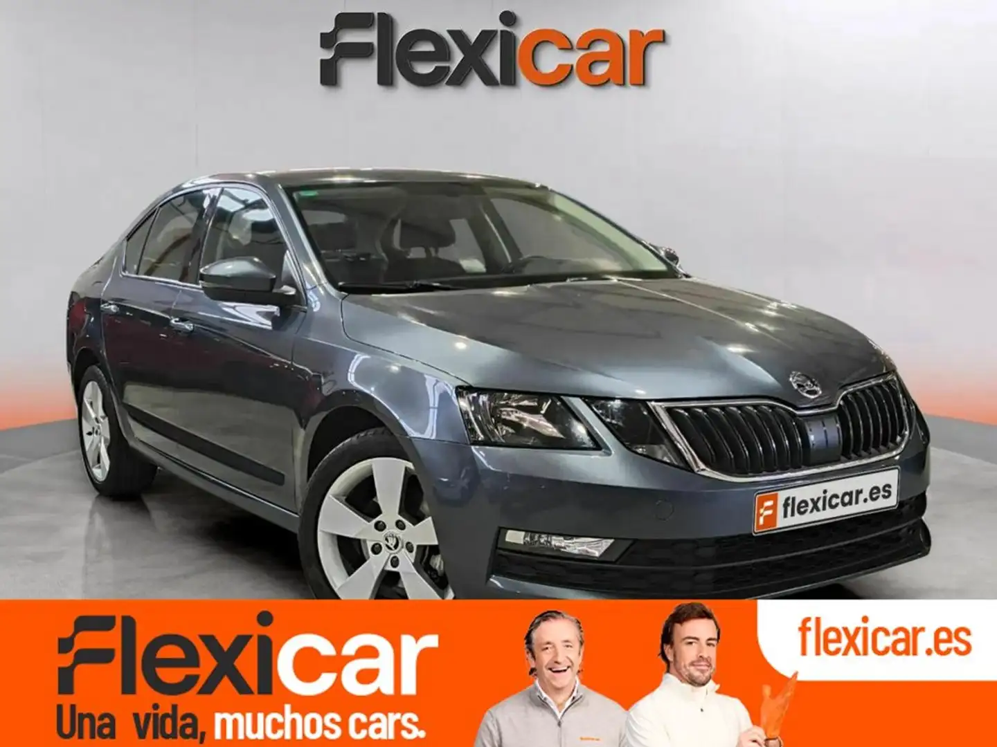 Skoda Octavia 1.6 TDI CR 81KW (110cv) Like Gris - 1