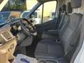 Ford Transit 350 2.0 tdci MHEV 130cv trend L3H2 E6.2 Blanc - thumbnail 12