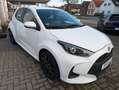 Toyota Yaris 1.0-l-VVT-i Comfort Kamera|ACC|1.Hd. Weiß - thumbnail 4
