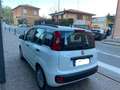 Fiat Panda 1.3 MJT 16V Pop 75cv Wit - thumbnail 6