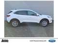Ford Kuga 2.5 Duratec PHEV TITANIUM Blanc - thumbnail 2