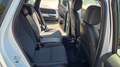 Honda Jazz 1.5 hev Executive ecvt PERMUTE Bianco - thumbnail 10