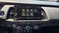 Honda Jazz 1.5 hev Executive ecvt PERMUTE Bianco - thumbnail 15