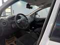 Fiat Punto 1,2 Sport*KLIMAAUTOMATIK*BC*ALU* Weiß - thumbnail 10
