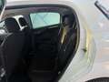 Fiat Punto 1,2 Sport*KLIMAAUTOMATIK*BC*ALU* Weiß - thumbnail 11