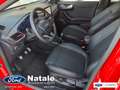Ford Puma Puma 1.0 ecoboost h ST-Line X s Rosso - thumbnail 10