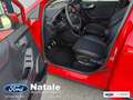 Ford Puma Puma 1.0 ecoboost h ST-Line X s Rosso - thumbnail 9