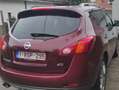 Nissan Murano Murano 2.5 D Automatik Executive - thumbnail 12