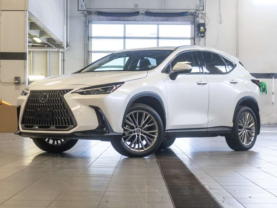 2024 Lexus NX Ultra Premium
