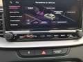 Kia XCeed 1.6 GDI PHEV BUSINESS LINE DCT Grau - thumbnail 9