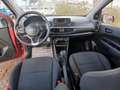 Kia Picanto 1.0 12V 5 porte AMT Urban Rouge - thumbnail 13