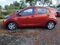 Kia Picanto 1.0 12V 5 porte AMT Urban Rouge - thumbnail 2