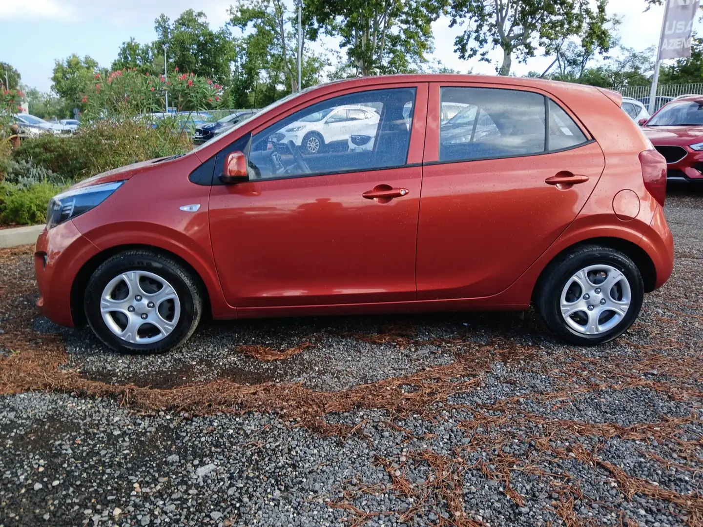 Kia Picanto 1.0 12V 5 porte AMT Urban Rouge - 2