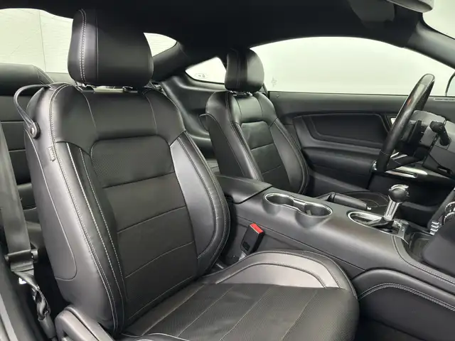 Ford Mustang view 15