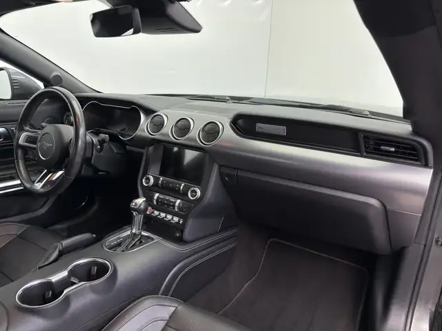 Ford Mustang view 13