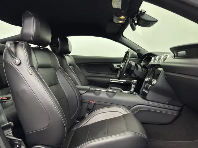 Ford Mustang view 14