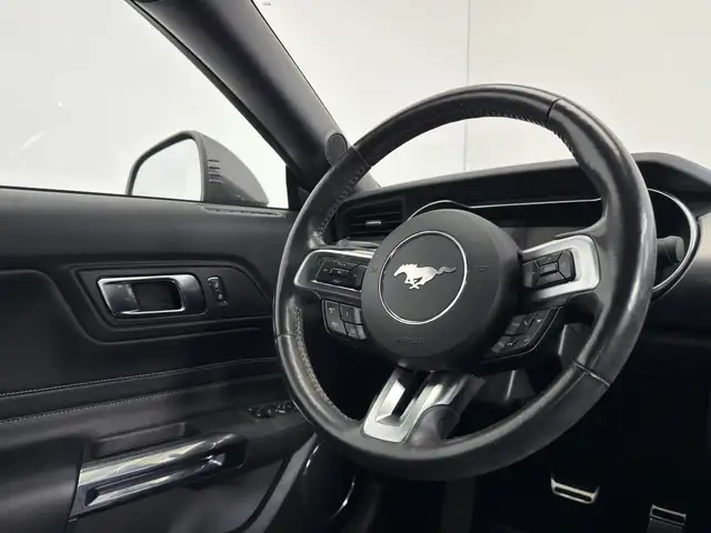 Ford Mustang view 12