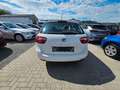 SEAT Ibiza ST Style Salsa Weiß - thumbnail 6