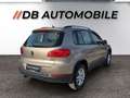 Volkswagen Tiguan 1,4 TSI Trend&Fun BMT Желтый - thumbnail 5
