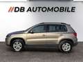 Volkswagen Tiguan 1,4 TSI Trend&Fun BMT Желтый - thumbnail 8