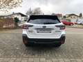 Subaru OUTBACK 2.5i  Exclusive Cross Wit - thumbnail 5