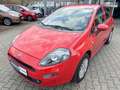 Fiat Punto Lounge Sport PDC Sitzh. Klimaauto. Rot - thumbnail 20