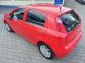 Fiat Punto Lounge Sport PDC Sitzh. Klimaauto. Rot - thumbnail 13
