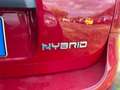 Fiat Panda 1.0 FireFly Hybrid Rot - thumbnail 7
