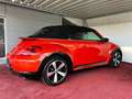 Volkswagen Beetle Cabrio Aut./R-Line/18 Zoll/Bi-Xenon/GARANTIE Rot - thumbnail 4