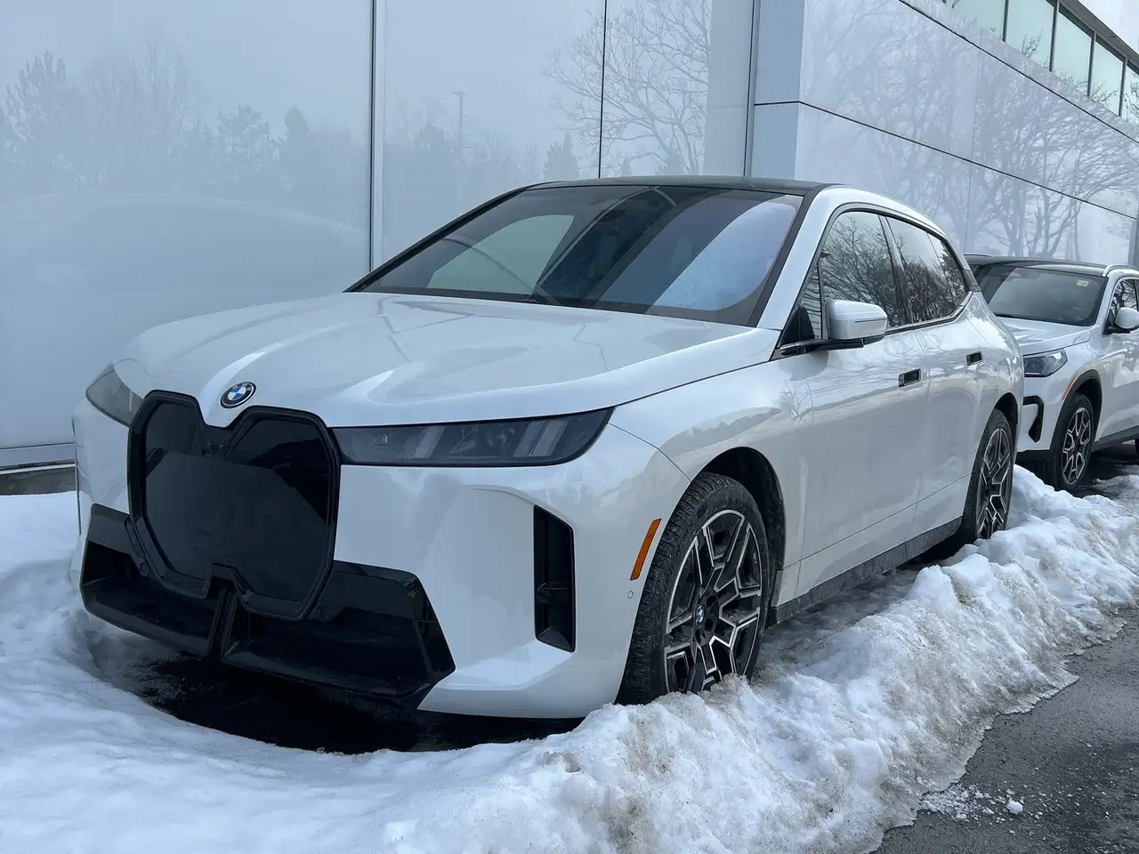 2026 BMW iX