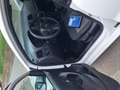 Volkswagen Polo 5p 1.2 Trendline 60cv Bianco - thumbnail 10