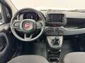 Fiat Panda NUOVA PANDINA 1.0 HYBRID 69CV *SENSORI* ONLYPROMO! Blu/Azzurro - thumbnail 5