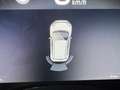 Fiat Panda NUOVA PANDINA 1.0 HYBRID 69CV *SENSORI* ONLYPROMO! Blu/Azzurro - thumbnail 12