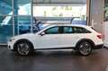 Audi A4 allroad 40 TDI S-Tronic Identity Contrast - PELLE/VIRTUAL/ADAS/TELECAMERA Blanco - thumbnail 3