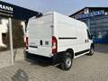 Fiat Ducato KASTENWAGEN MAXI 35 L2H2 180 AT Blanc - thumbnail 4